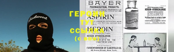 PSILOCYBIN Алзамай
