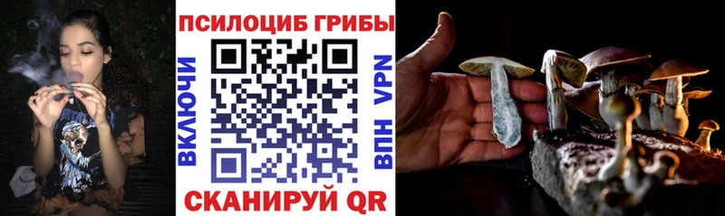 Галлюциногенные грибы Psilocybe  Артём 